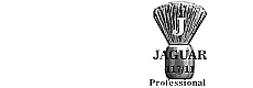 JAGUAR professional