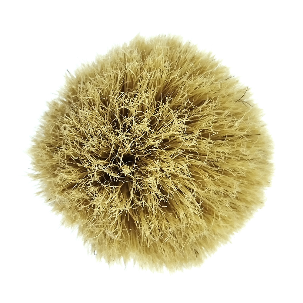 Четка за бръснене с Естествен косъм 117-24 kafqva JAGUAR professional 17.80 лв. (€ 9.10)