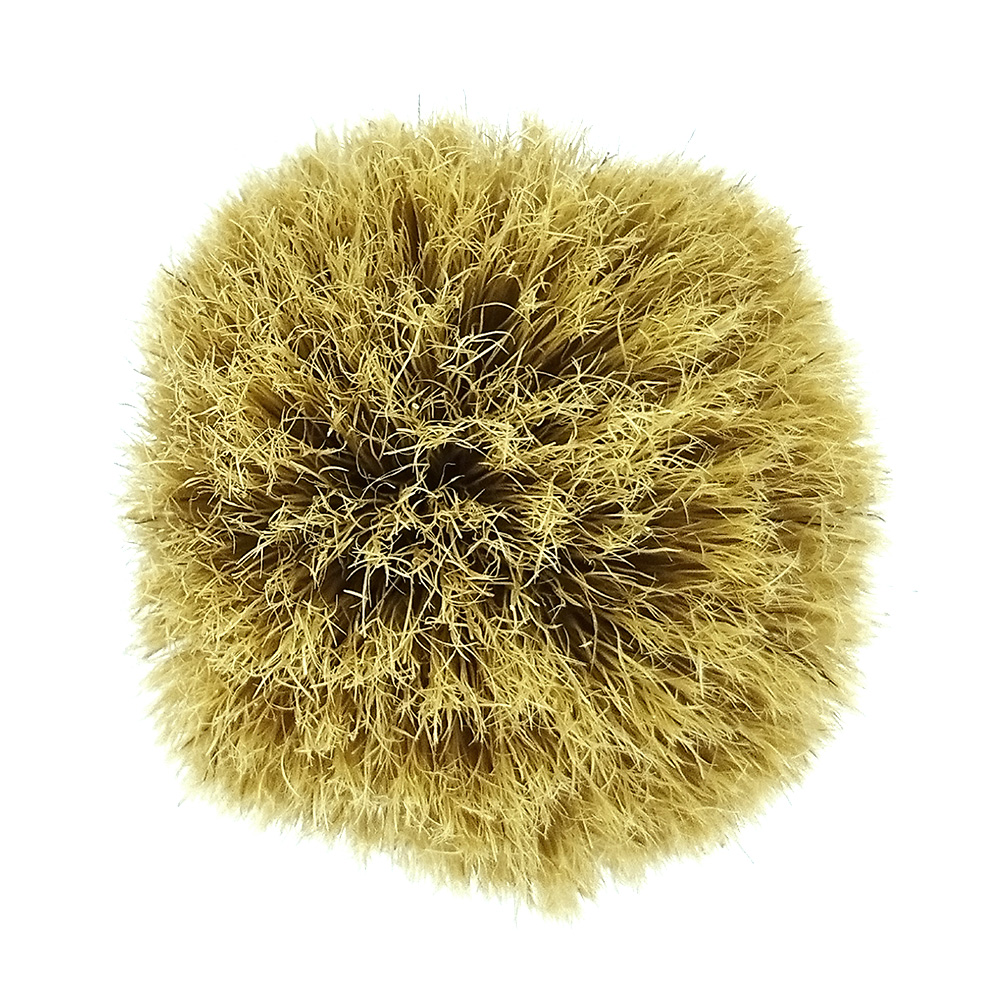 Четка за бръснене с Естествен косъм 117-24 oranj JAGUAR professional 17.80 лв. (€ 9.10)